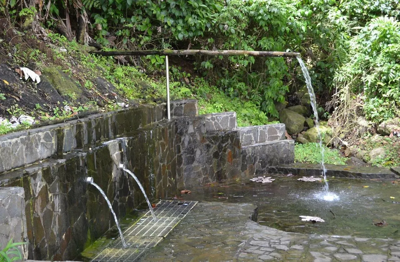 Haut De Villa Dans Son Ecrin De Verdure Sainte-Marie Martinique