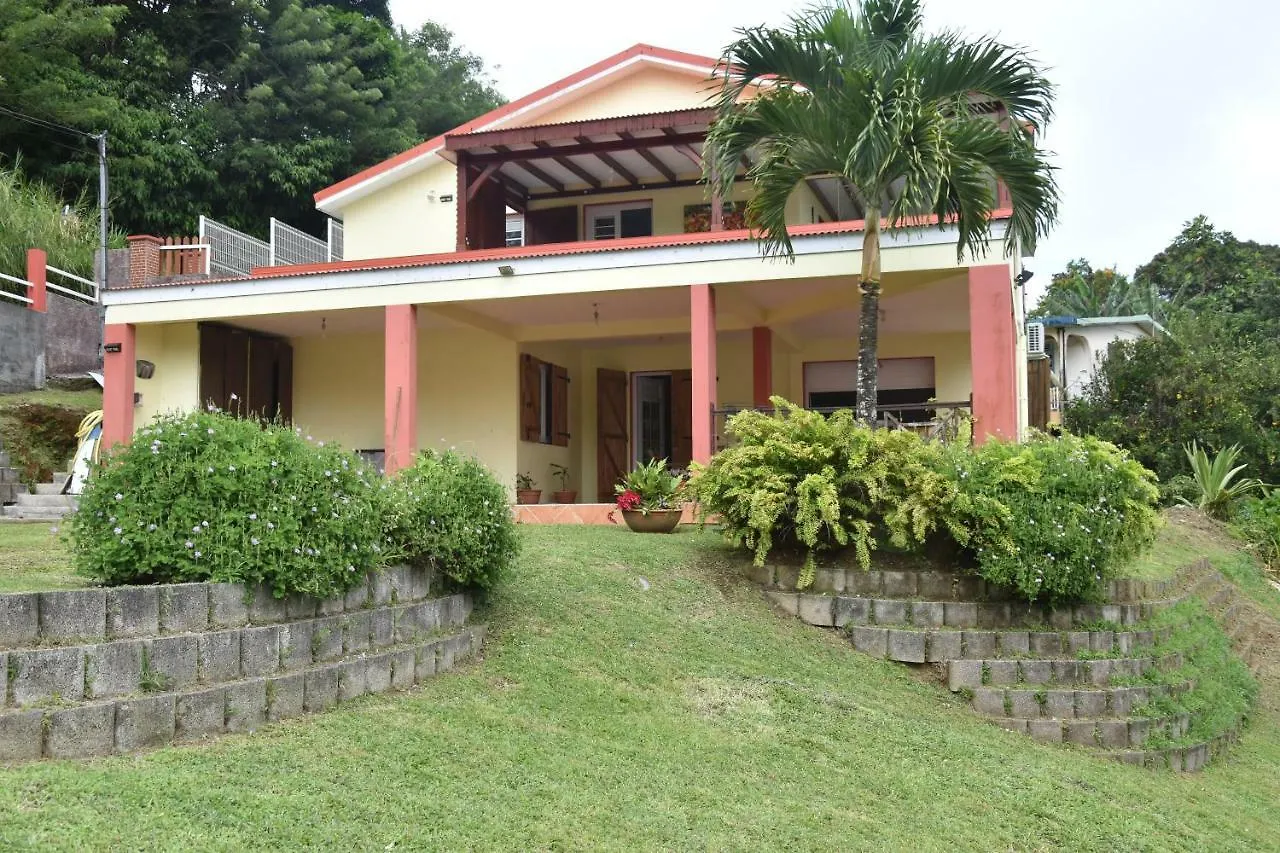 Haut De Villa Dans Son Ecrin De Verdure contacts