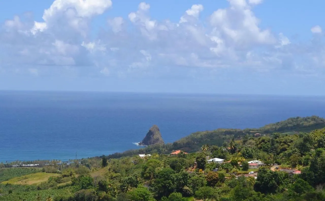 Haut De Villa Dans Son Ecrin De Verdure Sainte-Marie Holiday home