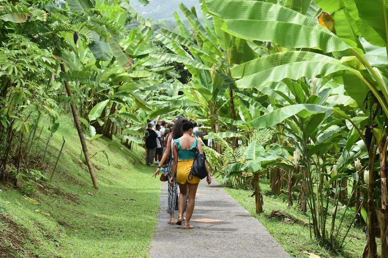 Haut De Villa Dans Son Ecrin De Verdure Sainte-Marie